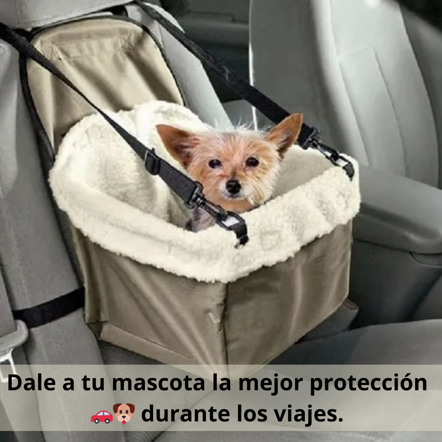 Asiento de Auto para Mascotas 🐾