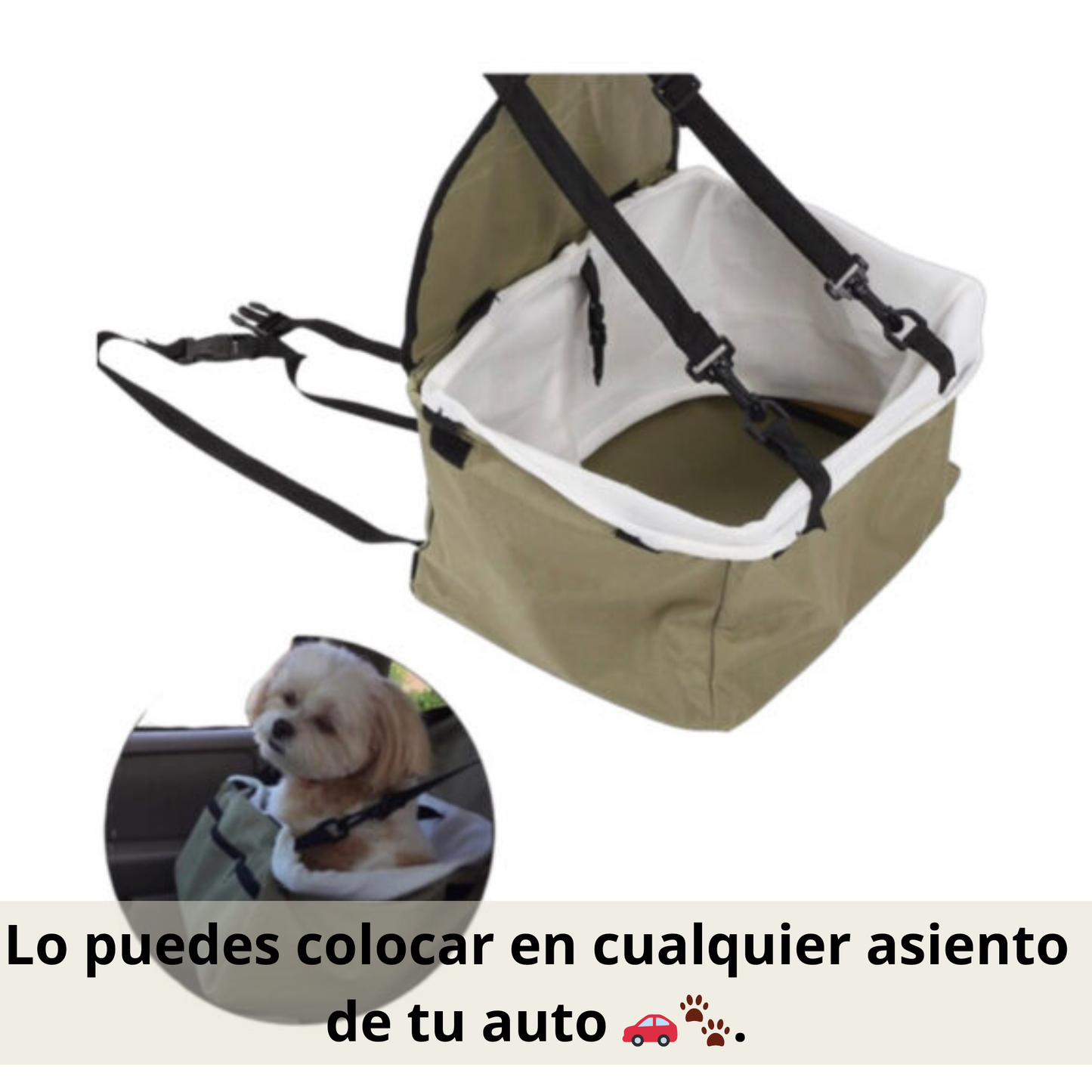Asiento de Auto para Mascotas 🐾